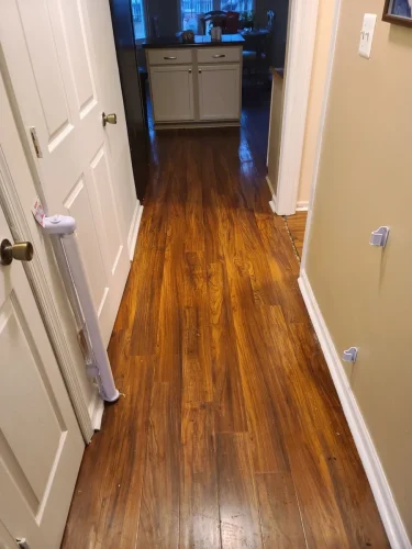 cannabel-renovations-llc-hampton-va-2026-03-19T17 49 40.077443Z-69278