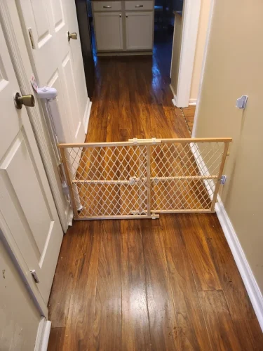 cannabel-renovations-llc-hampton-va-2026-03-19T17 49 41.459537Z-90034