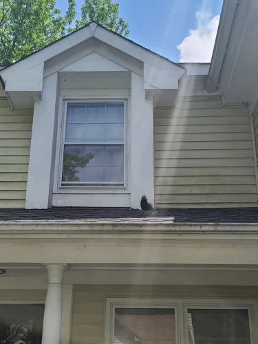 cannabel-renovations-llc-hampton-va-2026-03-19T17 49 46.001107Z-5439